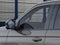 2026 Ford Expedition Tremor 4x4