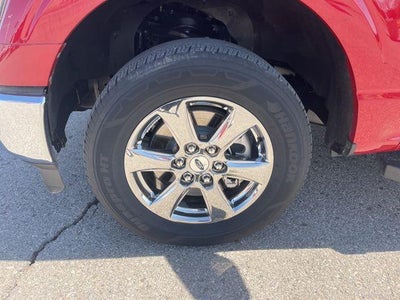 2023 Ford F-150 XL 4WD SuperCrew 5.5' Box