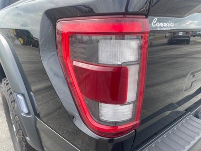 2023 Ford F-150 Raptor 4WD SuperCrew 5.5' Box