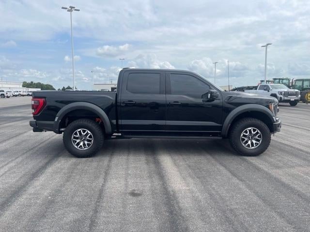 2023 Ford F-150 Raptor 4WD SuperCrew 5.5' Box