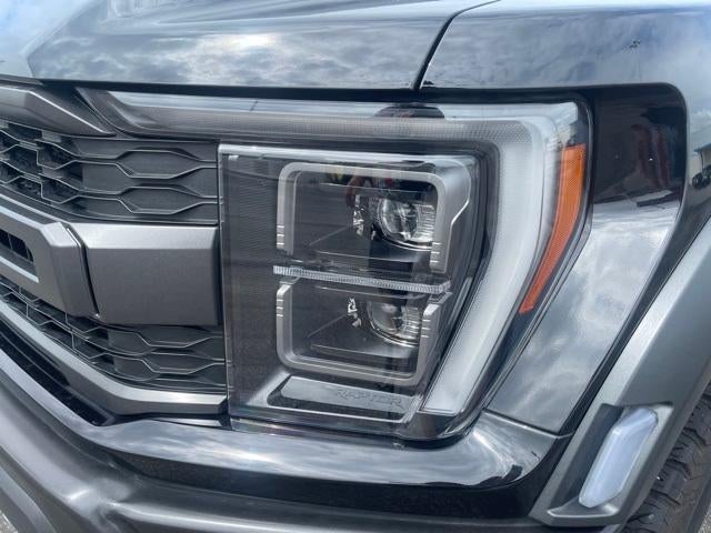 2023 Ford F-150 Raptor 4WD SuperCrew 5.5' Box