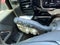 2025 GMC Sierra 3500 HD CC 4WD Crew Cab 177" WB, 60" CA SLE